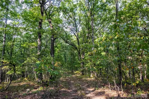 00 Baha Dr, Sullivan, MO 63080 photo 26