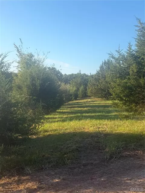 Other - 11404 Hwy 24, Madison, MO 65263 photo 7 of 16