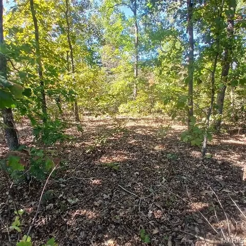 5678 N Main St, Annapolis, MO 63620 photo 12