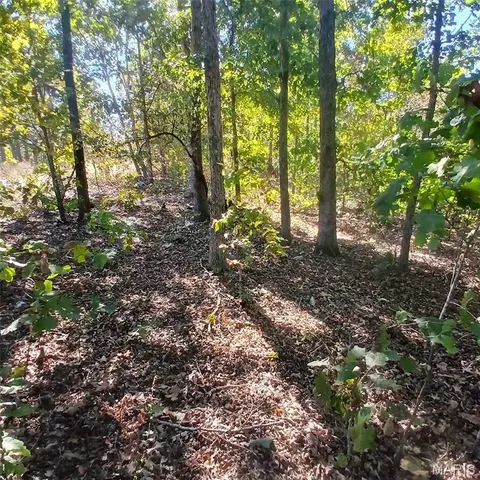 5678 N Main St, Annapolis, MO 63620 photo 13