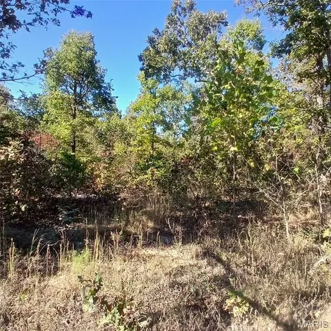 5678 N Main St, Annapolis, MO 63620 photo 7