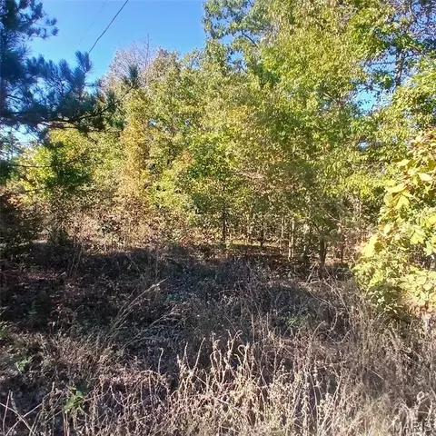 5678 N Main St, Annapolis, MO 63620 photo 10