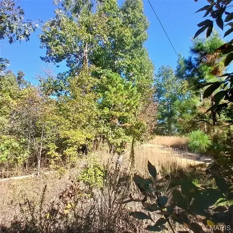 5678 N Main St, Annapolis, MO 63620 photo 11