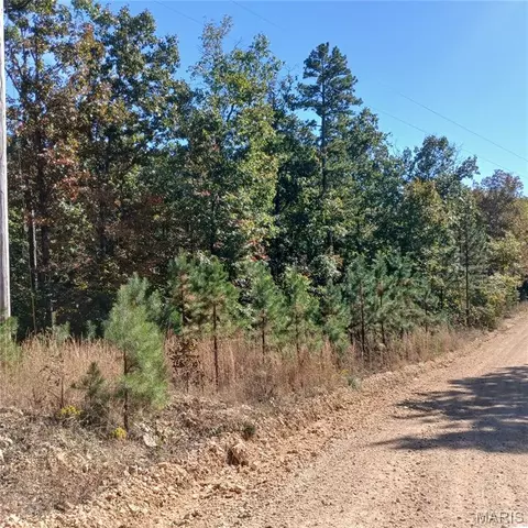 5678 N Main St, Annapolis, MO 63620 photo 14