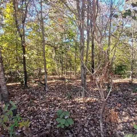5678 N Main St, Annapolis, MO 63620 photo 5
