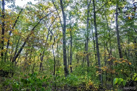 Other - 228 Logan Rd, Silex, MO 63377 photo 27 of 33