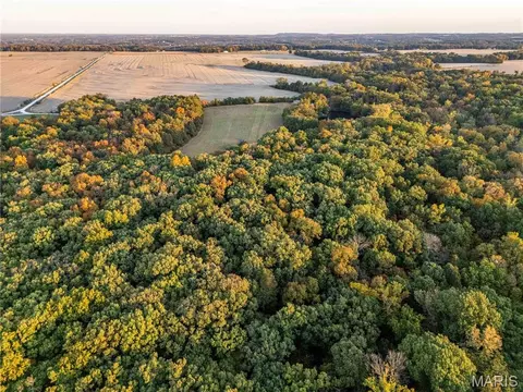 Other - 228 Logan Rd, Silex, MO 63377 photo 29 of 33