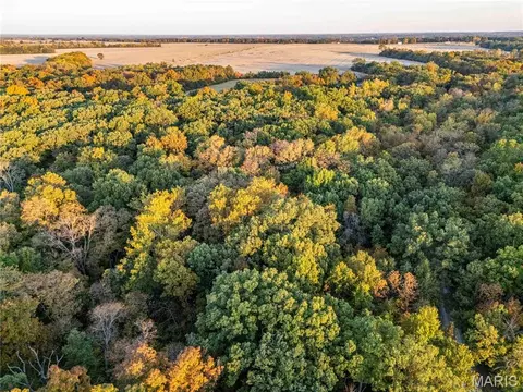 Other - 228 Logan Rd, Silex, MO 63377 photo 25 of 33