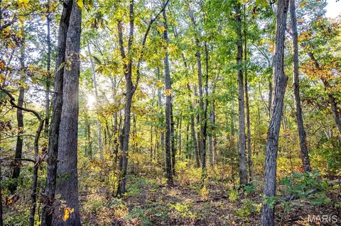 Other - 228 Logan Rd, Silex, MO 63377 photo 17 of 33