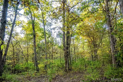 Exterior - 228 Logan Rd, Silex, MO 63377 photo 4 of 11