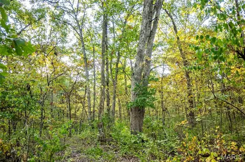 Other - 228 Logan Rd, Silex, MO 63377 photo 23 of 33