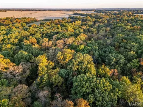 Other - 228 Logan Rd, Silex, MO 63377 photo 26 of 33