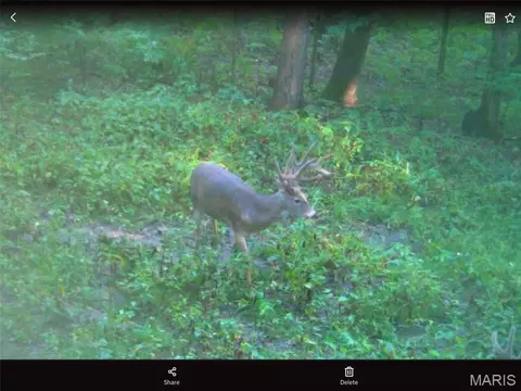 Other - 228 Logan Rd, Silex, MO 63377 photo 1 of 33
