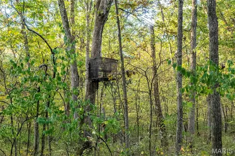 Exterior - 228 Logan Rd, Silex, MO 63377 photo 8 of 11