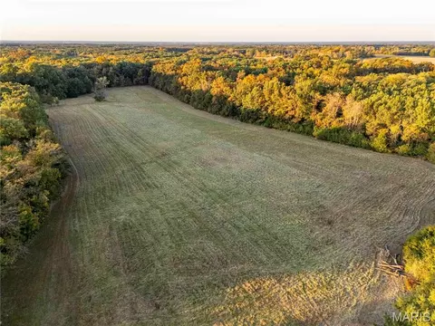 Other - 228 Logan Rd, Silex, MO 63377 photo 33 of 33