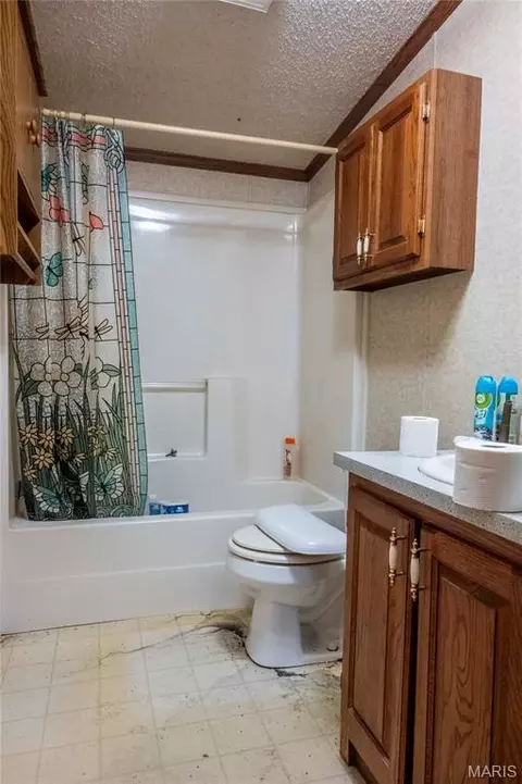 Bath - 228 Logan Rd, Silex, MO 63377 photo 2 of 2