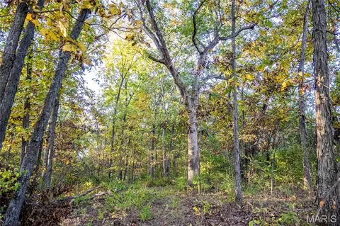 Other - 228 Logan Rd, Silex, MO 63377 photo 19 of 33