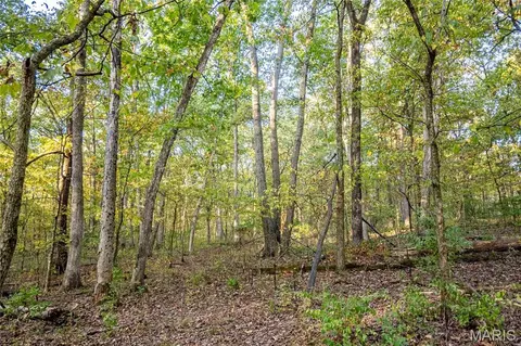 Exterior - 228 Logan Rd, Silex, MO 63377 photo 5 of 11