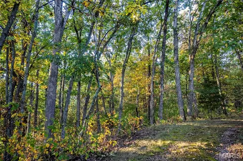 Exterior - 228 Logan Rd, Silex, MO 63377 photo 7 of 11