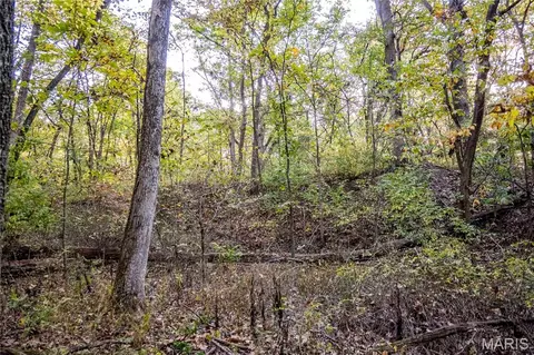 Other - 228 Logan Rd, Silex, MO 63377 photo 28 of 33