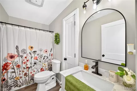 Bath - 213 Flora St, Iberia, MO 65486 photo 4 of 5