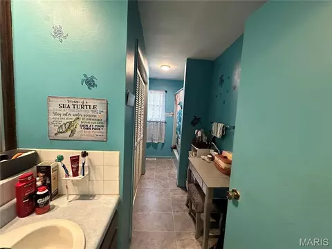 Bath - 403 E Dent St, Ironton, MO 63650 photo 1 of 6