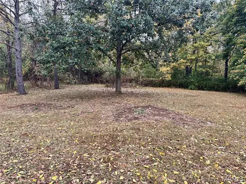 Exterior - 403 E Dent St, Ironton, MO 63650 photo 5 of 12