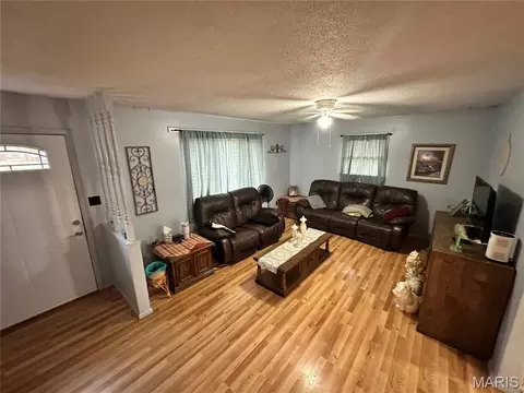 Other - 403 E Dent St, Ironton, MO 63650 photo 5 of 12
