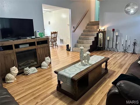 Other - 403 E Dent St, Ironton, MO 63650 photo 4 of 12