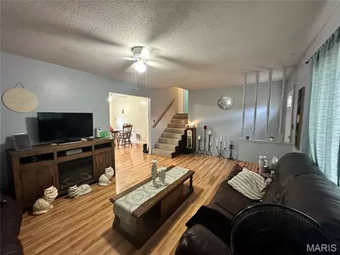 Living - 403 E Dent St, Ironton, MO 63650 photo 1 of 2
