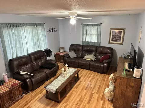 Living - 403 E Dent St, Ironton, MO 63650 photo 2 of 2