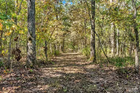 Other - 6411 Evergreen Loop, Leslie, MO 63056 photo 4 of 18