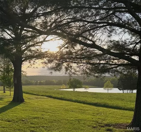 Other - 6411 Evergreen Loop, Leslie, MO 63056 photo 18 of 18