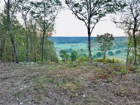 0 Highway Pp, Dixon, MO 65459 photo 5