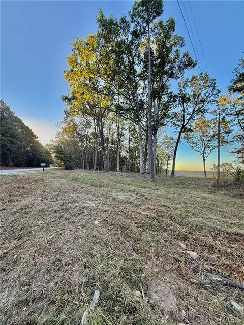 0 Highway Pp, Dixon, MO 65459 photo 24