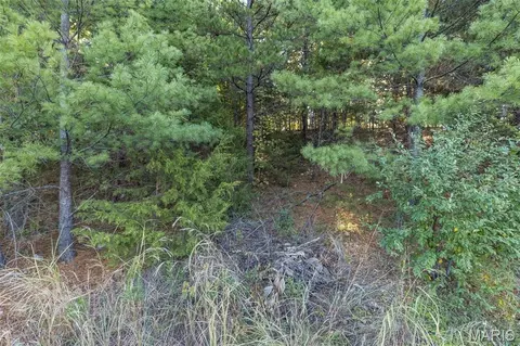 0 Rue Marseille, Bonne Terre, MO 63628