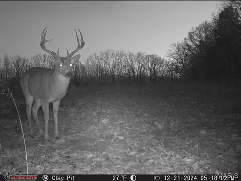 Other - 2302 Highway 19, Hermann, MO 65041 photo 36 of 39