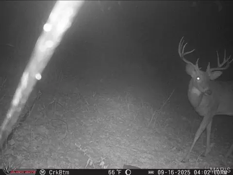 Other - 2302 Highway 19, Hermann, MO 65041 photo 34 of 39