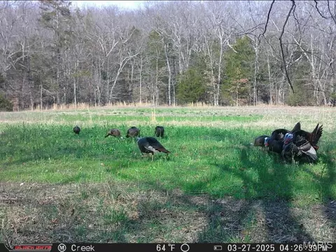 Other - 2302 Highway 19, Hermann, MO 65041 photo 33 of 39