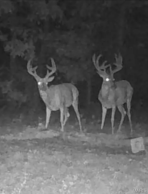 Other - 2302 Highway 19, Hermann, MO 65041 photo 39 of 39