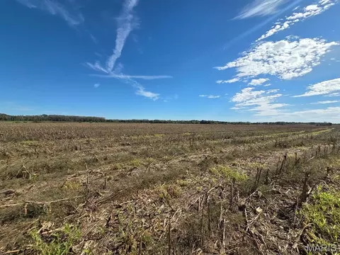 1 State Hwy P, Canton, MO 63435 photo 54