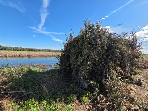 1 State Hwy P, Canton, MO 63435 photo 58