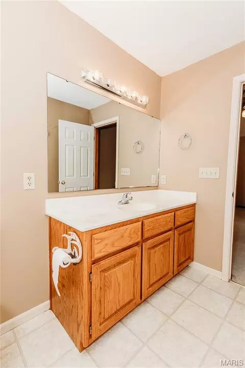Bath - 11550 Cherry Rd, Dixon, MO 65459 photo 4 of 8