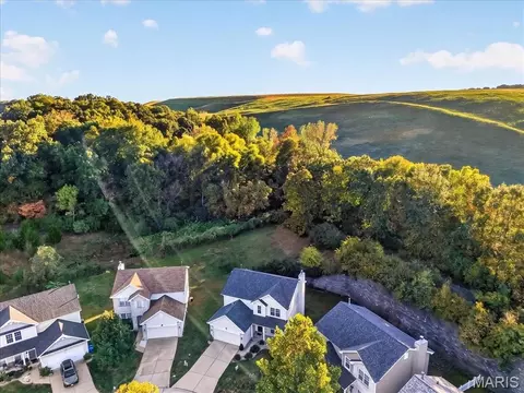 View/Area - 567 Brook Meadow Dr, Ballwin, MO 63021 photo 4 of 12