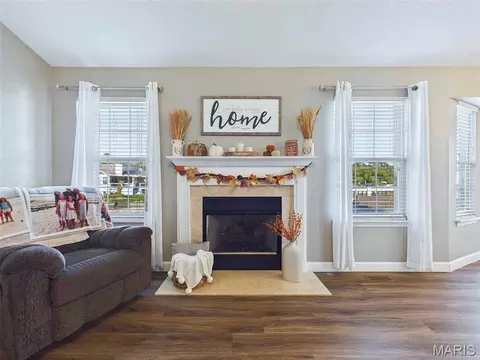 Living - 115 Shadowbrooke, Troy, IL 62294 photo 3 of 4