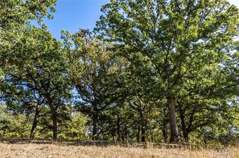 22098 Kinglet Ln, Eolia, MO 63344 photo 14