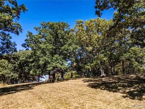 22098 Kinglet Ln, Eolia, MO 63344 photo 27