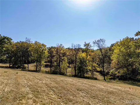 22098 Kinglet Ln, Eolia, MO 63344 photo 21