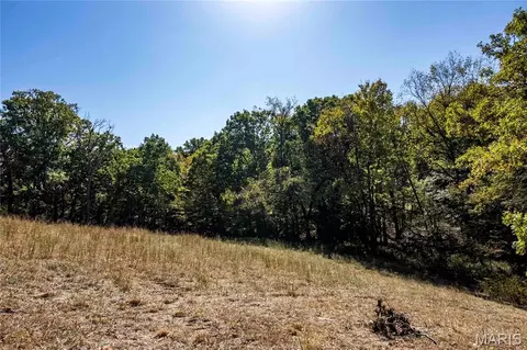 22098 Kinglet Ln, Eolia, MO 63344 photo 36