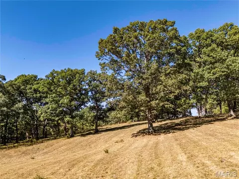 22098 Kinglet Ln, Eolia, MO 63344 photo 20